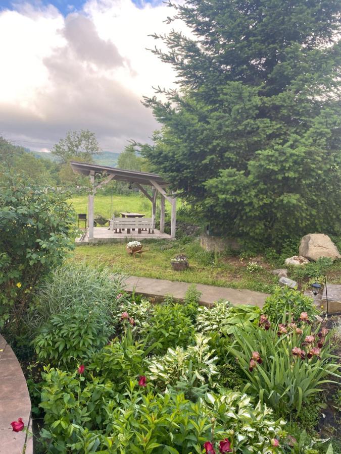 Holiday Home Usadba Novoselitsa Exterior foto