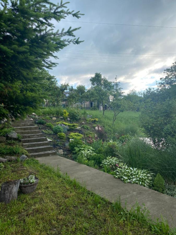 Holiday Home Usadba Novoselitsa Exterior foto