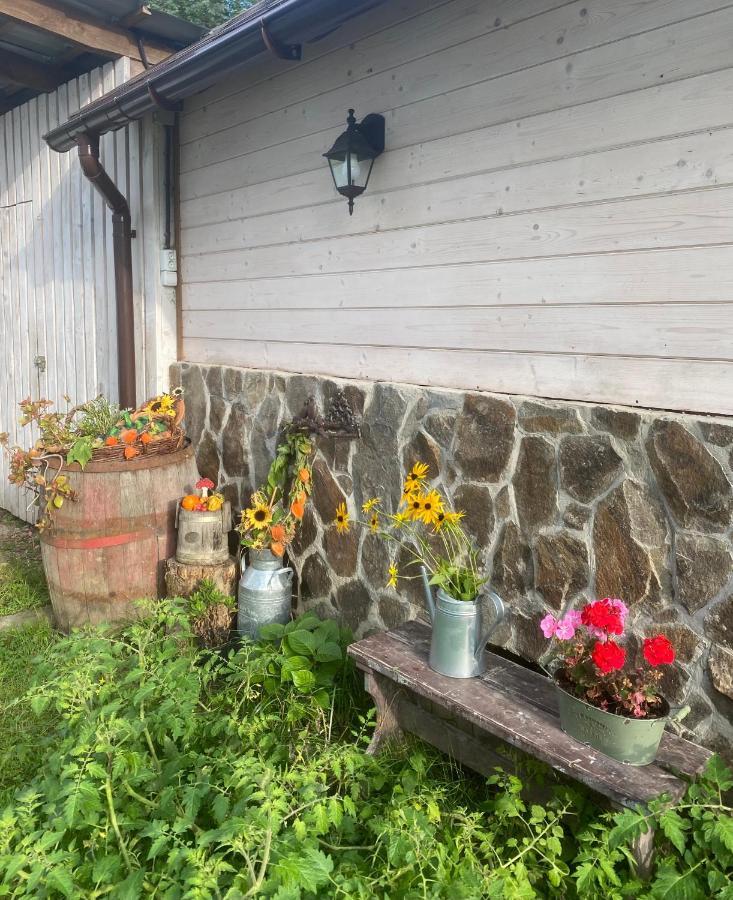 Holiday Home Usadba Novoselitsa Exterior foto