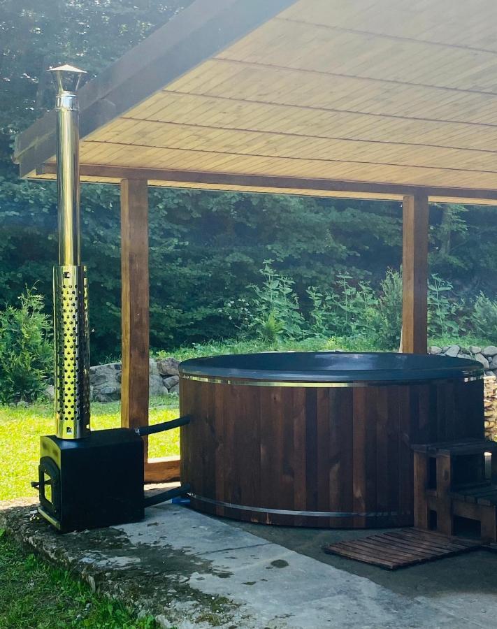 Holiday Home Usadba Novoselitsa Exterior foto