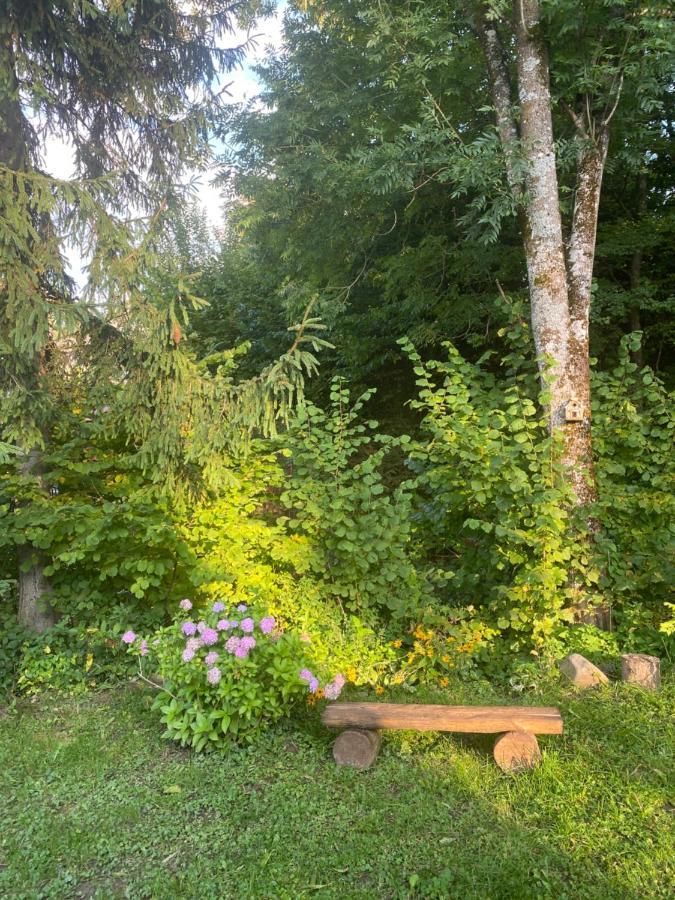 Holiday Home Usadba Novoselitsa Exterior foto