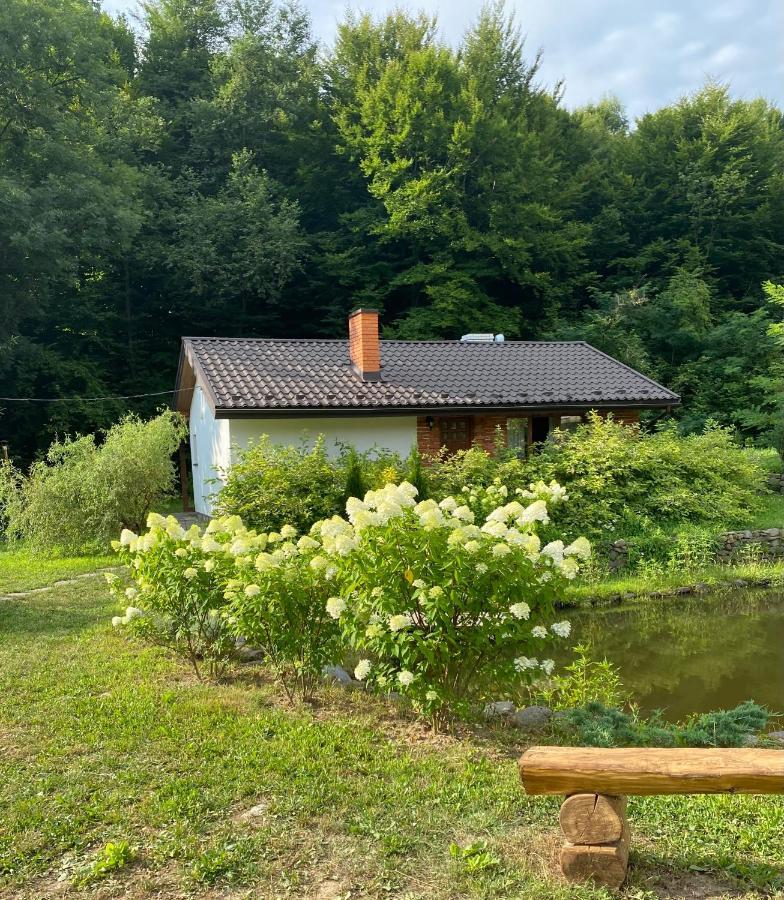 Holiday Home Usadba Novoselitsa Exterior foto