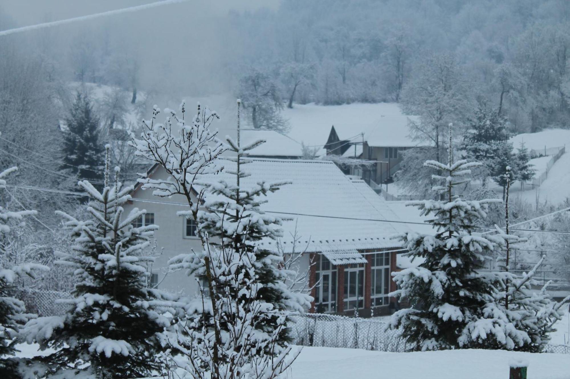 Holiday Home Usadba Novoselitsa Exterior foto