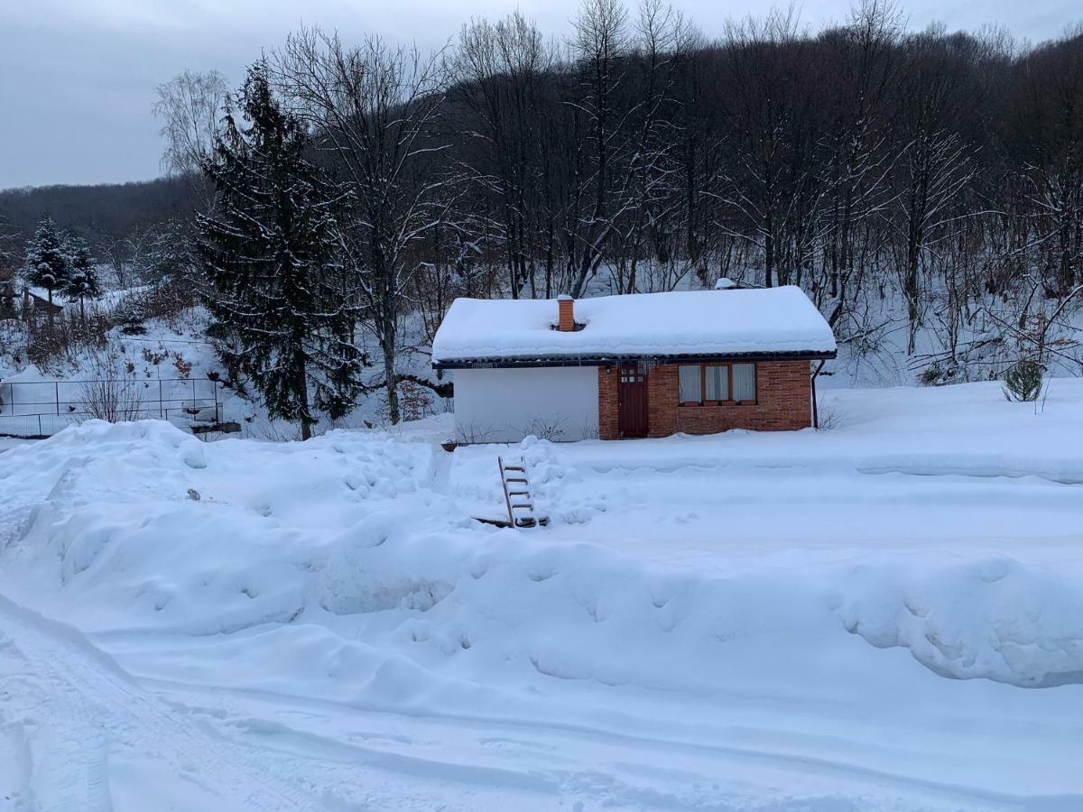 Holiday Home Usadba Novoselitsa Exterior foto