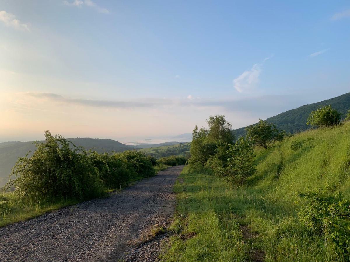 Holiday Home Usadba Novoselitsa Exterior foto